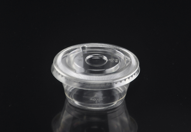 Karnataka - 100ML Disposable Transparent Plastic Food Containers