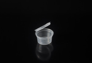 3oz Disposable Leak Proof Plastic Condiment Containers with Hinged